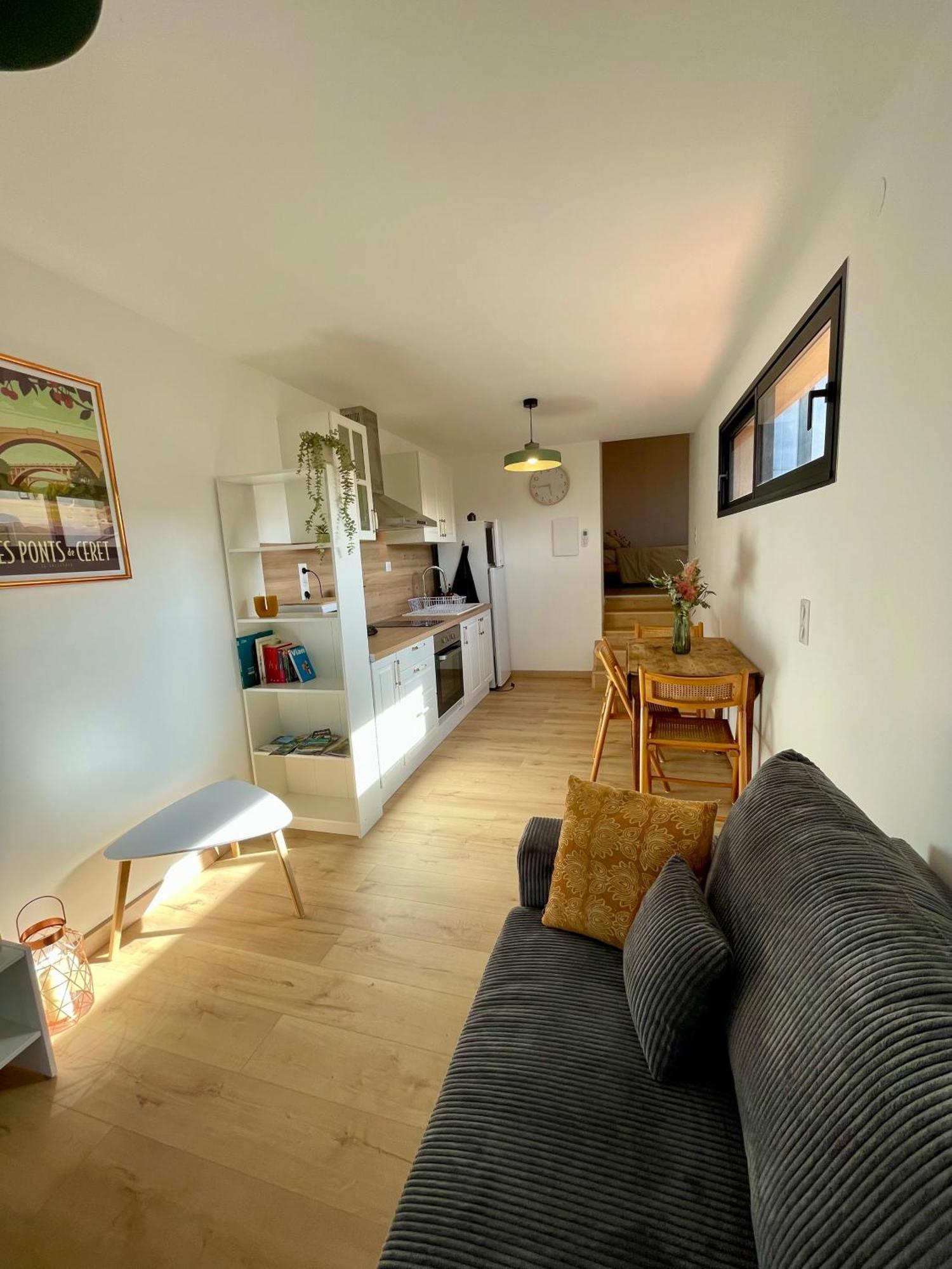 Bel Appartement A Céret Екстериор снимка